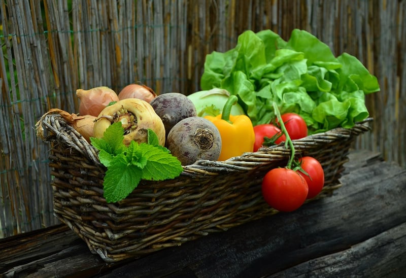 Mindful Eating
