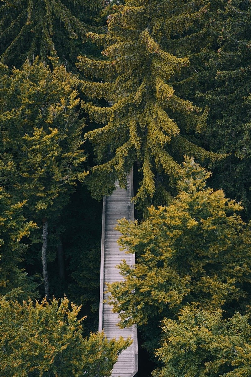 Mindful Blog