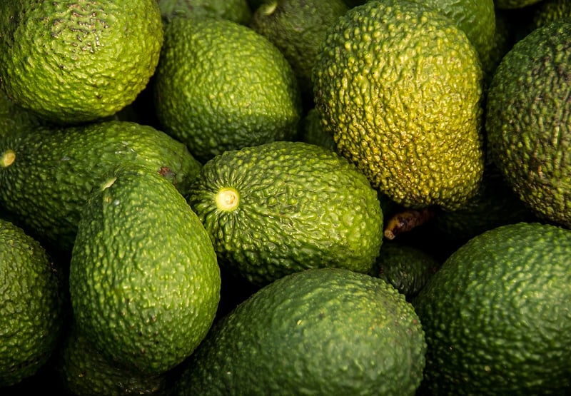 Healthy Nutrition